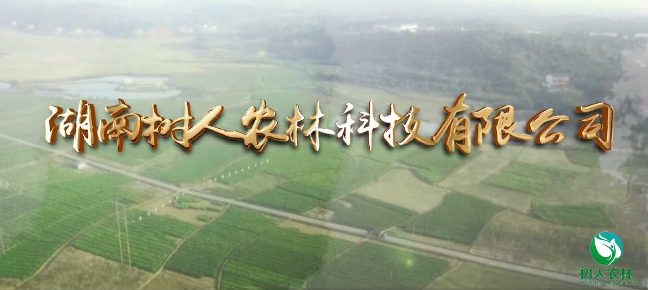 樹人公司簡介