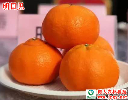 明日見