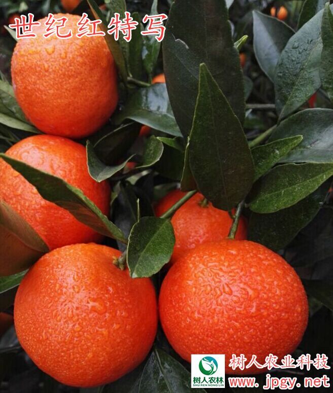 湖南省常德亞特農公司