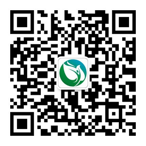 網站公告