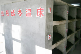 政策咨詢