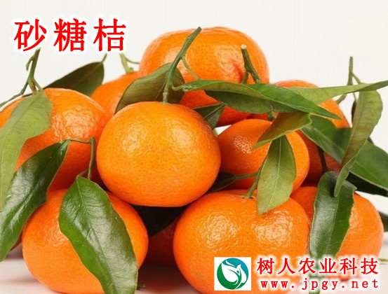 特種栽培技術