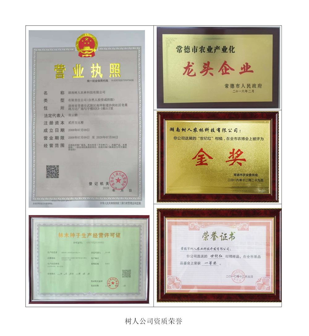 湖南樹人農林科技有限公司,湖南柑橘品種銷售,中國果樹網,常綠果樹類哪里好
