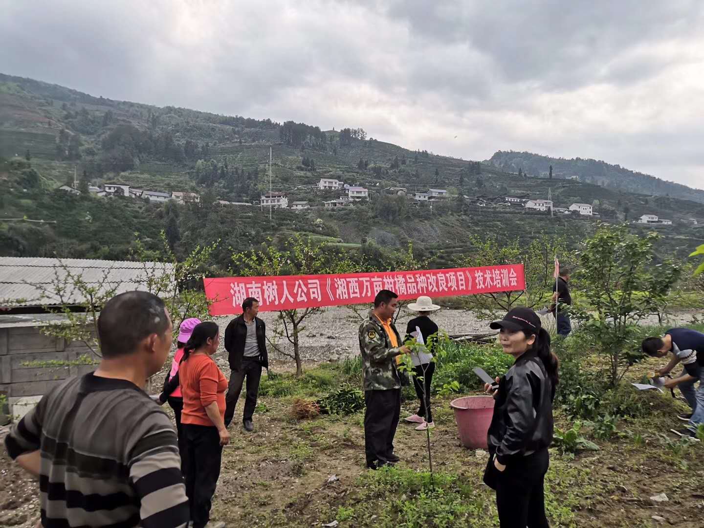 湖南樹人農林科技有限公司,湖南柑橘品種銷售,中國果樹網,常綠果樹類哪里好