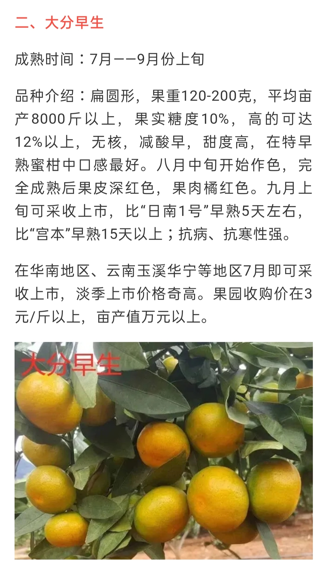 網站公告