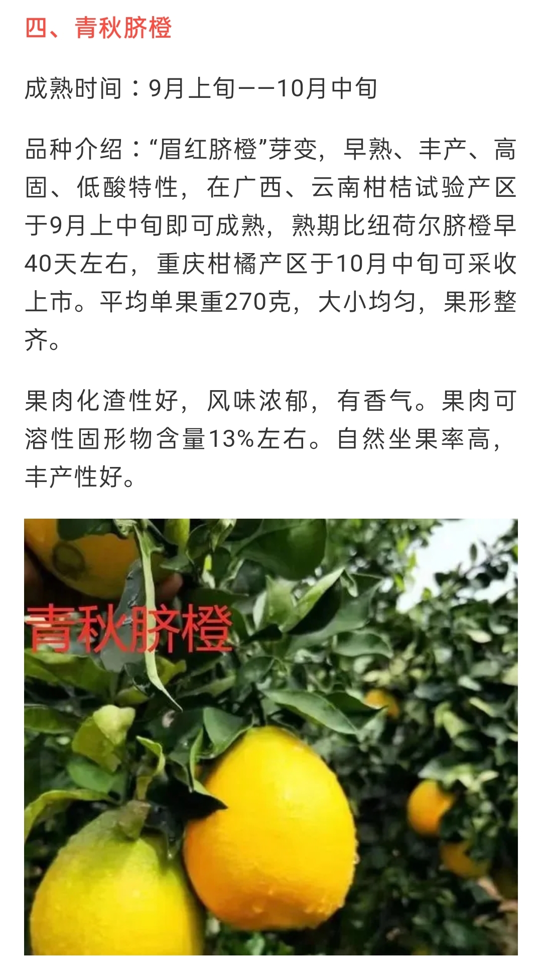 網站公告