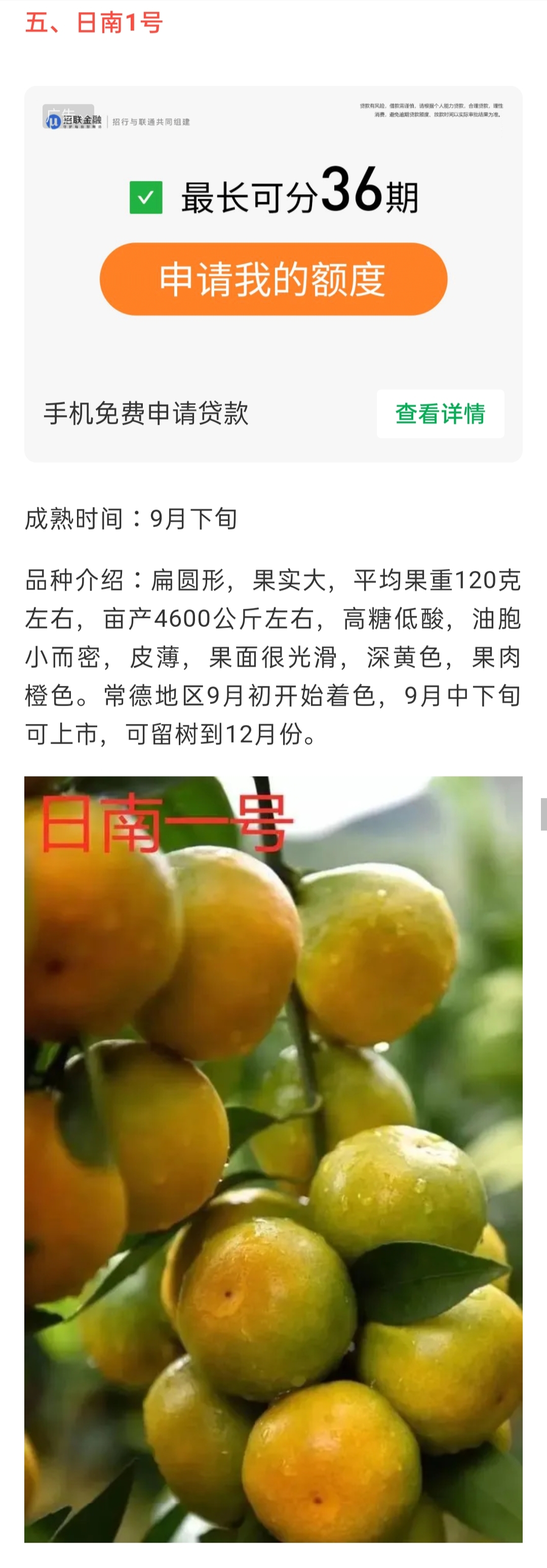 網站公告
