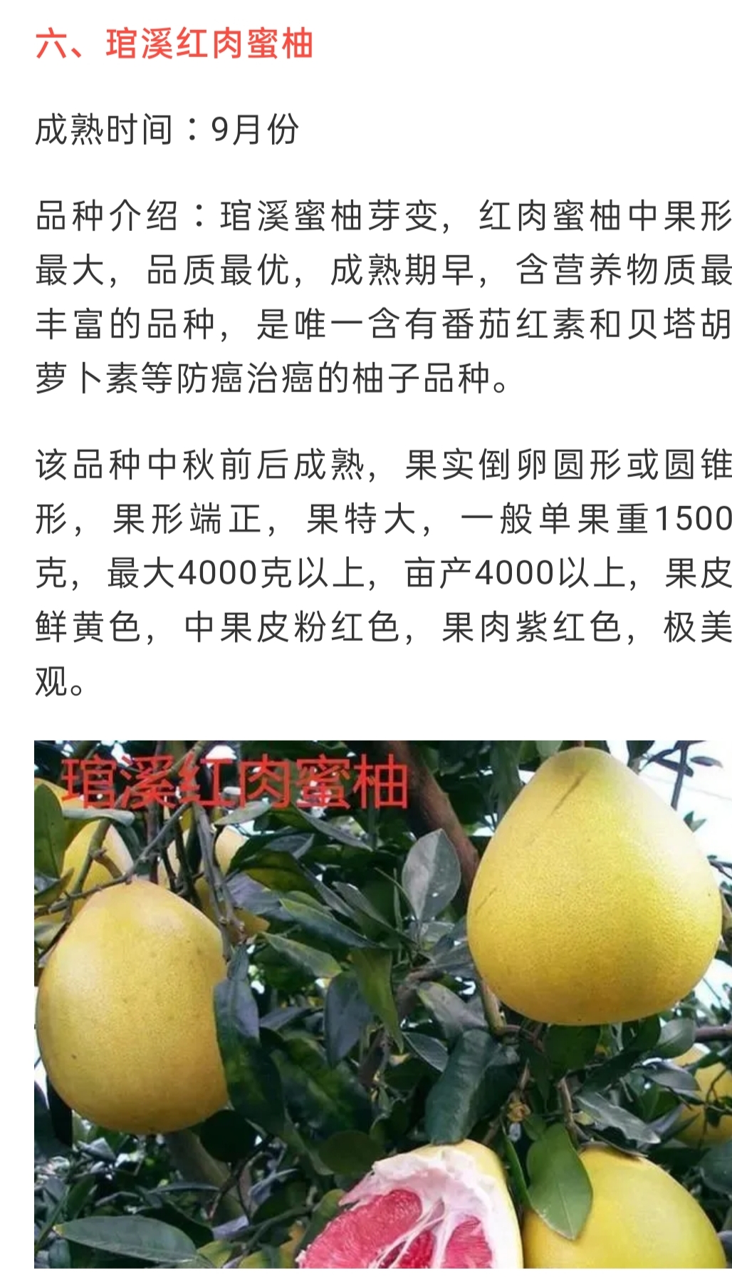 網站公告