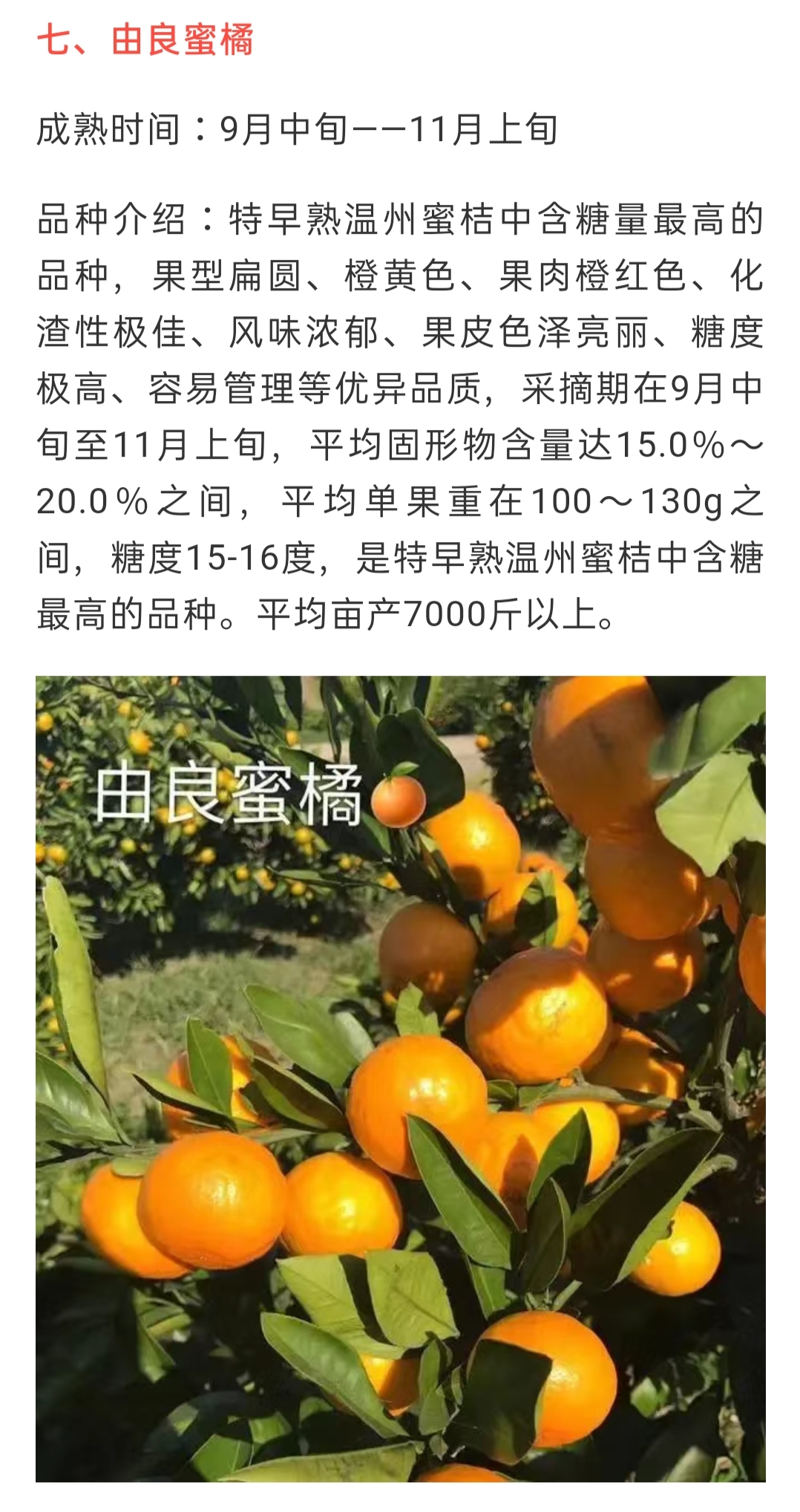 網站公告