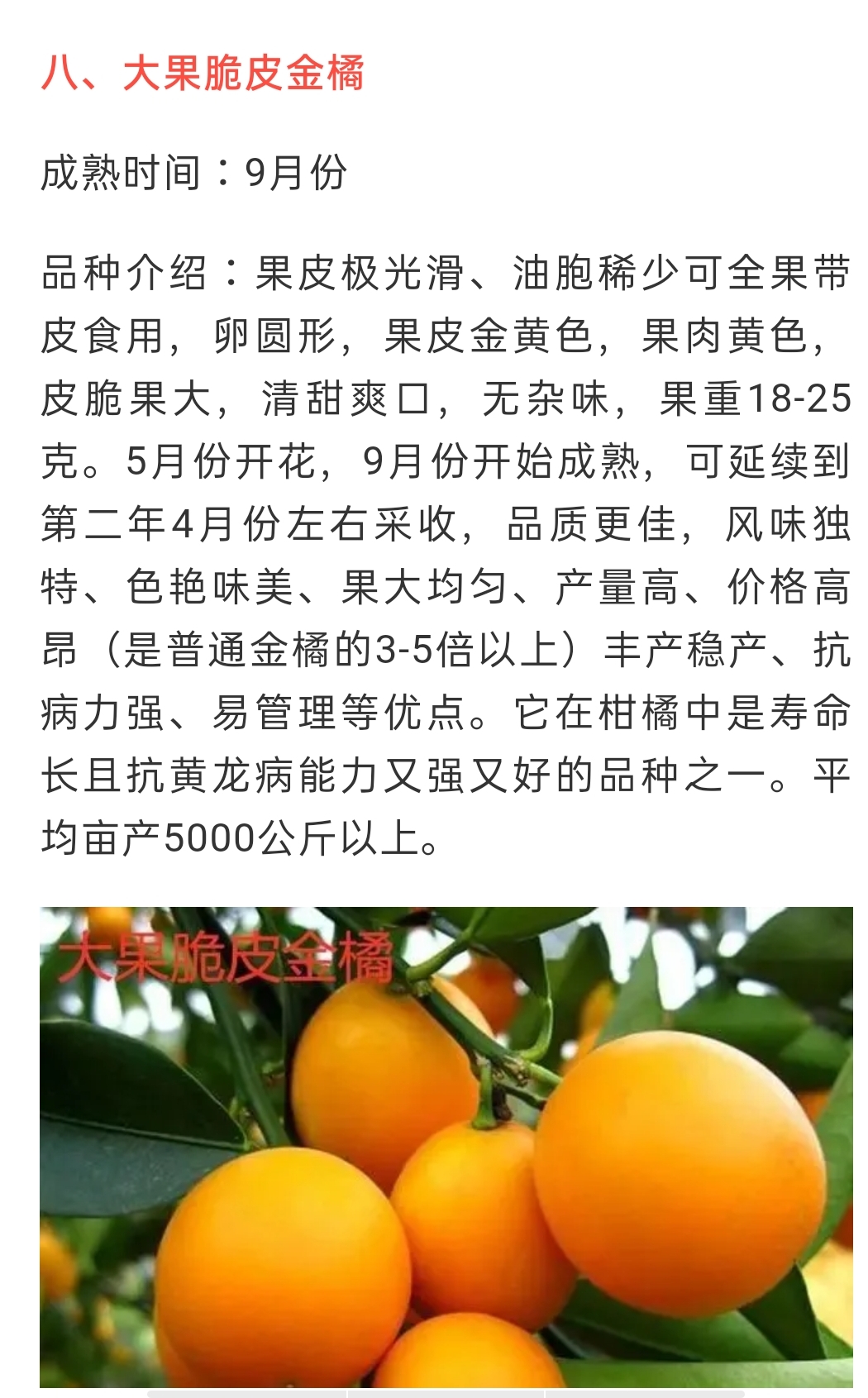 網站公告