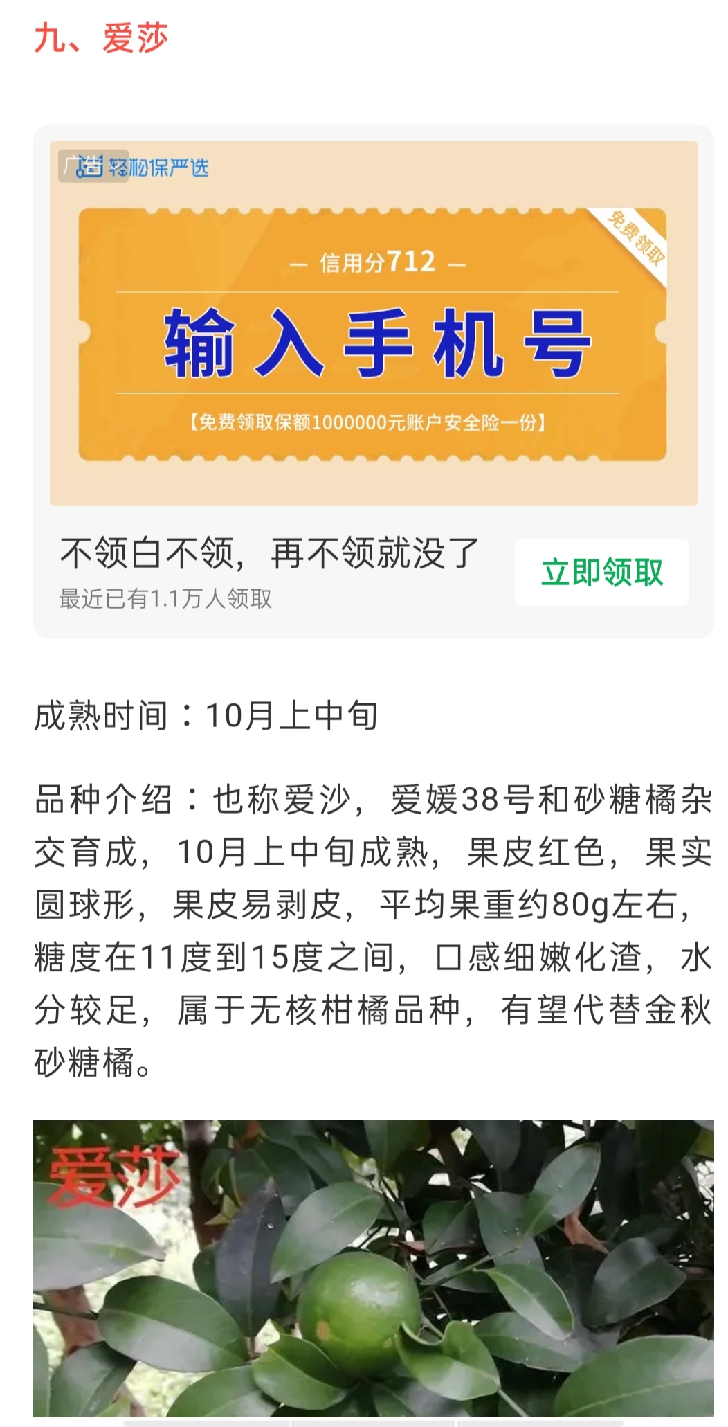 網站公告