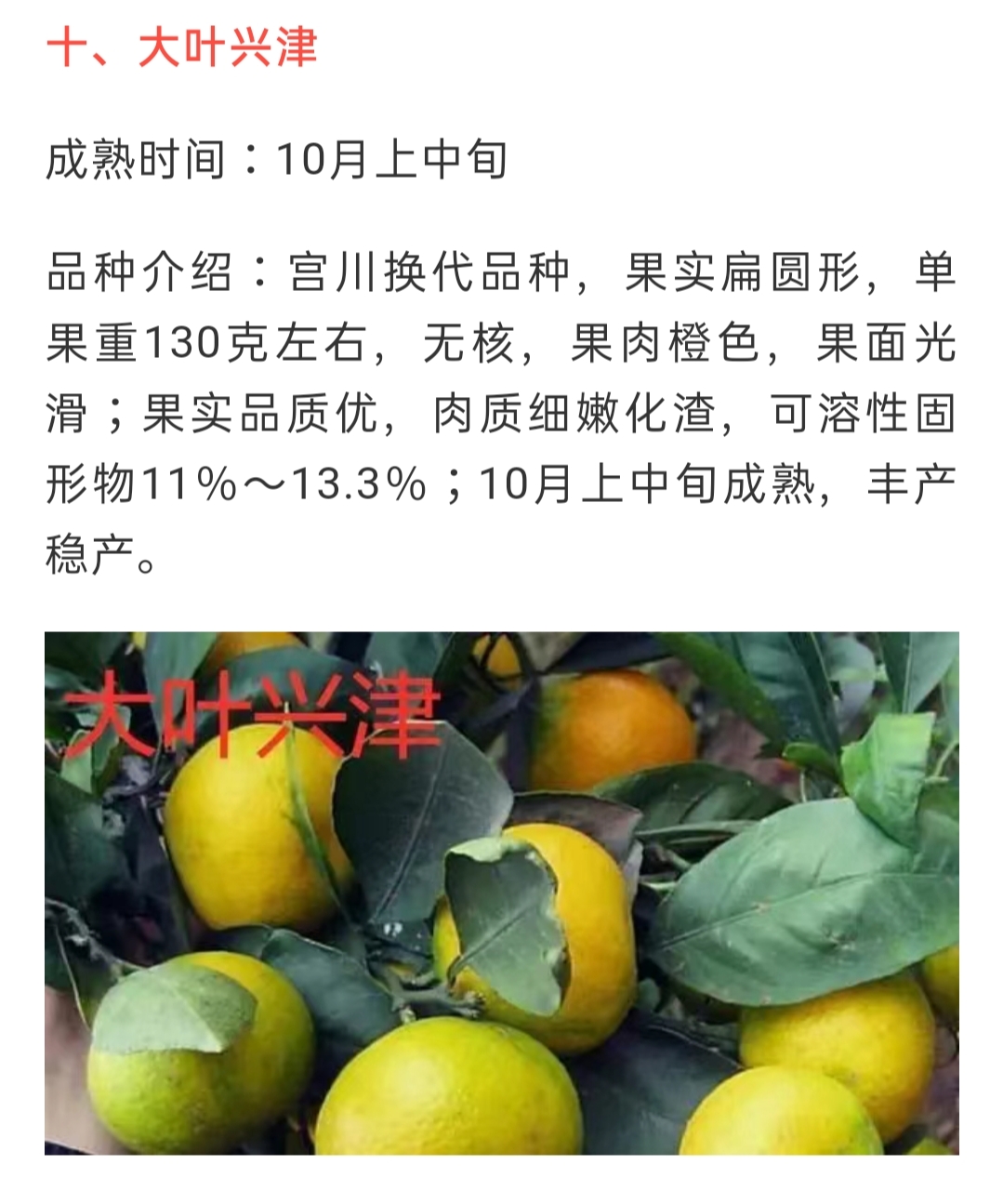 網站公告