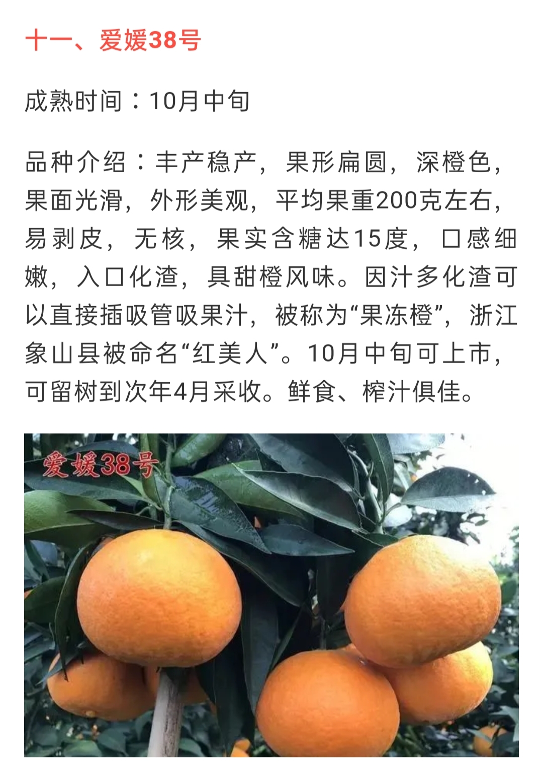 網站公告