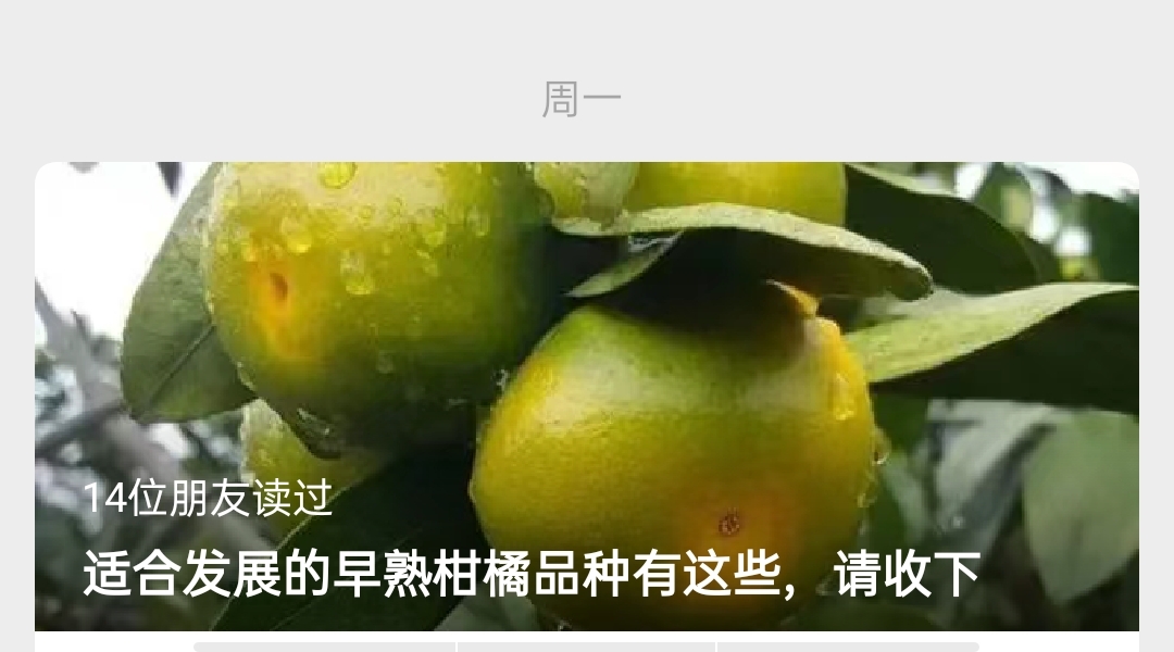 網站公告