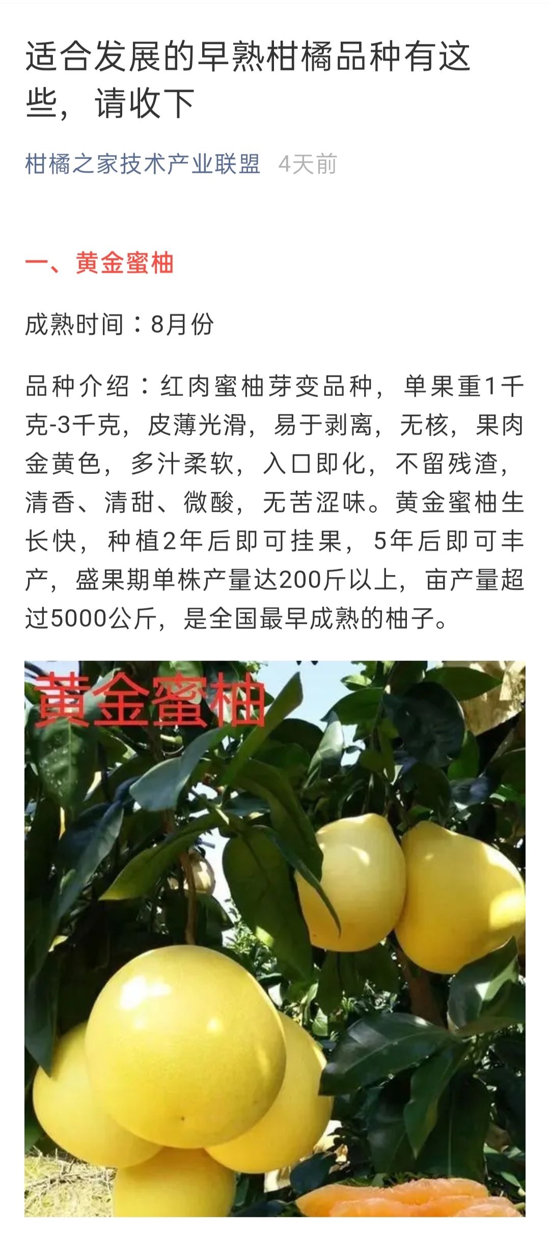 網站公告